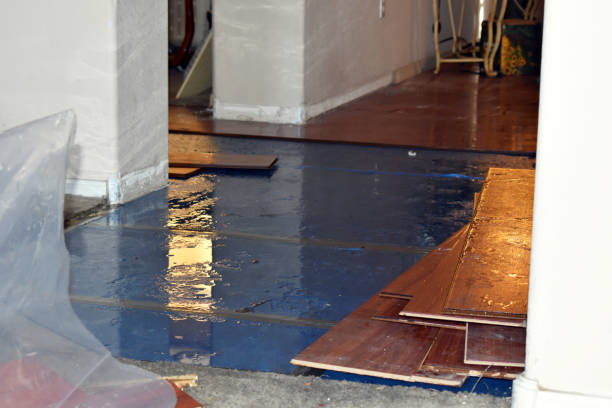 Professional Basement Water Removal technician working in Garden City, NY
